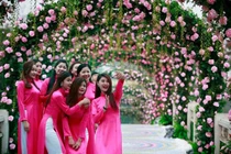 Yêu cầu báo cáo về Lễ hội hoa hồng Bulgaria