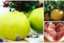 Những loại bưởi ngoại giá “chát” nhà giàu Việt săn lùng