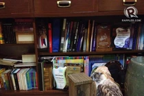 Nguyên thủ quốc gia sống trong những ngôi nhà đặc biệt thế nào?