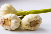 Điều gì xảy ra nếu bạn ngậm tép tỏi trong miệng khoảng 30 phút?