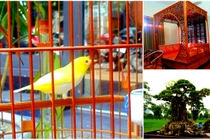 Những vật dụng bạc tỷ của đại gia đất Bắc