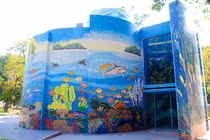 Nhà gốm sứ siêu độc lung linh giữa Thủ đô