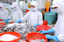 Từ ngày 1/1/2018 lương tối thiểu vùng tăng thêm 180.000-230.000 đồng/tháng