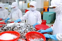 Từ ngày 1/1/2018 lương tối thiểu vùng tăng thêm 180.000-230.000 đồng/tháng