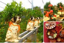 Săn lùng những món quà Tết 2018 “độc” nhất thị trường