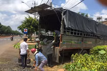 Nỗi lo cơn lốc trồng "cây tiền tỷ sầu riêng" ở Tây Nguyên