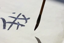 Mực Tàu có thể chữa ung thư