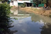 Đoàn kiểm tra hoảng hồn vì ổ lăng quăng trong nhà dân