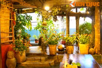 Độc lạ với ngôi nhà mang cả “rừng Tây Bắc” về Hà Nội