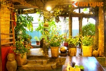 Độc lạ với ngôi nhà mang cả “rừng Tây Bắc” về Hà Nội