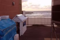 Những chuyện thật như đùa khiến nhiều người lác mắt