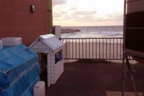 Những chuyện thật như đùa khiến nhiều người lác mắt