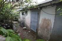 Dân Hàn đổ xô thăm nhà cũ xập xệ của tổng thống