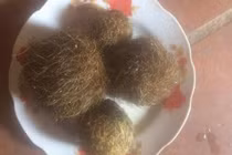 Đổ xô đi xem 4 dị vật nghi “cát lợn” quý hiếm