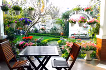 Đọ vườn rau sạch trong biệt thự "khủng" các đại gia Việt