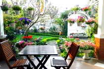 Đọ vườn rau sạch trong biệt thự "khủng" các đại gia Việt
