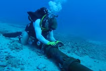 Internet Việt Nam đi quốc tế “rùa bò” vì sự cố cáp quang biển