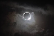 Phản ứng kỳ lạ của động vật khi xảy ra nhật thực