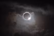 Phản ứng kỳ lạ của động vật khi xảy ra nhật thực