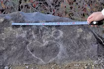 Phẫn nộ trước những vụ phá hoại di tích chấn động thế giới