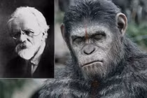 Những sự thật khiến nhân loại chỉ nghe thôi cũng dựng tóc gáy