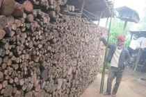 Củi hứa hôn và chuyện "bắt chồng" có một không hai của sơn nữ Việt 