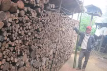 Củi hứa hôn và chuyện "bắt chồng" có một không hai của sơn nữ Việt 