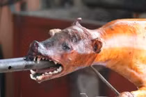 Nghe Tây kể chuyện ăn thịt chó Việt Nam: Đủ mọi cảm xúc 