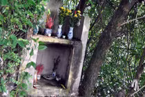 Chuyện kỳ dị ở nấm mộ hoang "tự lớn lên" giữa Hà Nội 