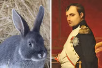 13 sự kiện chứng minh rằng thế giới này kỳ quặc hơn chúng ta nghĩ