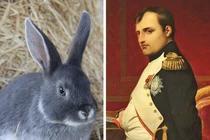 13 sự kiện chứng minh rằng thế giới này kỳ quặc hơn chúng ta nghĩ