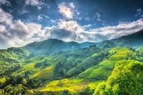 Sa Pa của Việt Nam lọt top 50 địa điểm đẹp nhất hành tinh