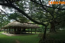 Thăm chiến khu Tân Trào - cái nôi của Cách mạng tháng Tám 