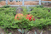 Chuyện kỳ bí về hòn đá thiêng giữ vía trừ tà cho cả làng 