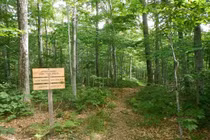 Điểm lại những vụ mất tích bí ẩn nhất chưa có lời giải