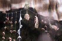 Giếng nước "quỷ ám" biến mọi thứ rơi vào đều hóa đá