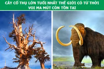 12 sự thật lịch sử đảo lộn hoàn toàn khái niệm thời gian của bạn