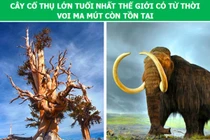 12 sự thật lịch sử đảo lộn hoàn toàn khái niệm thời gian của bạn