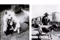 Rợn gáy với những bức ảnh chụp "hồn ma" bí ẩn