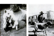 Rợn gáy với những bức ảnh chụp "hồn ma" bí ẩn