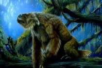 Những bí ẩn trong rừng rậm Amazone vẫn chưa được giải đáp