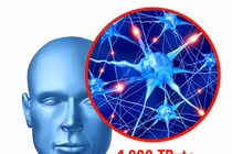 Giải mã 13 'siêu năng lực' kỳ diệu của cơ thể con người 