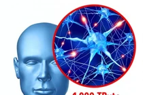 Giải mã 13 'siêu năng lực' kỳ diệu của cơ thể con người 