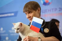 Xem “mèo tiên tri” dự đoán Nga thắng trận mở màn World Cup 2018