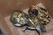 Bí ẩn thầy bùa một mắt thoắt ẩn thoắt hiện ở Thất Sơn 