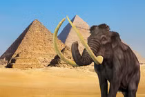 Những sự thật thú vị về thế giới mà trường học không dạy cho bạn