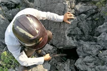 “Hang vàng” nổi tiếng xứ Thanh bị lãng quên 10 năm giờ ra sao?