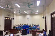 Quảng Ninh: "Quả đắng" cho phụ xe vận chuyển trái phép động vật hoang dã