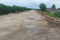 Thanh Hóa: Cận cảnh tuyến đê sông Cầu Chày bị nứt vỡ, xuống cấp