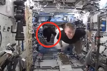 Video: Thót tim với hình ảnh “khỉ đột” đuổi phi hành gia